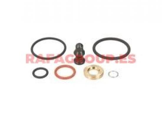 RG900650 - Juego de juntas, inyector